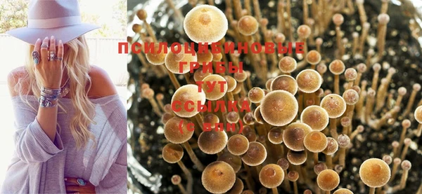 винт Володарск