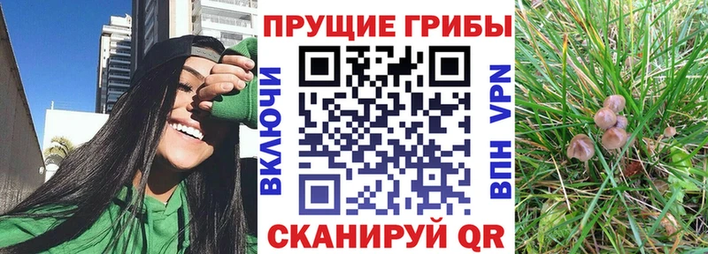 Галлюциногенные грибы ЛСД Калач